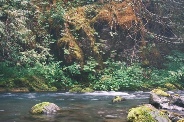 Big Quilcene River Camping